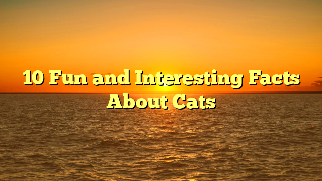 10 Fun and Interesting Facts About Cats