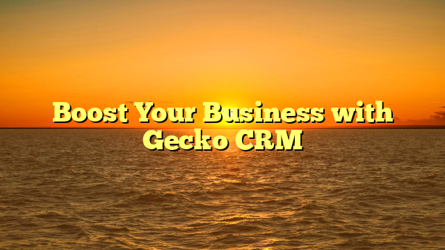 Boost Your Business with Gecko CRM