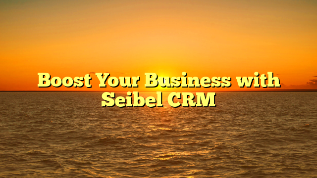 Boost Your Business with Seibel CRM
