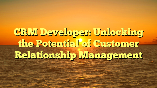 CRM Developer: Unlocking the Potential of Customer Relationship Management