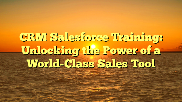 CRM Salesforce Training: Unlocking the Power of a World-Class Sales Tool