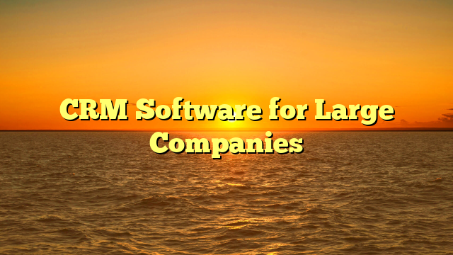 CRM Software for Large Companies