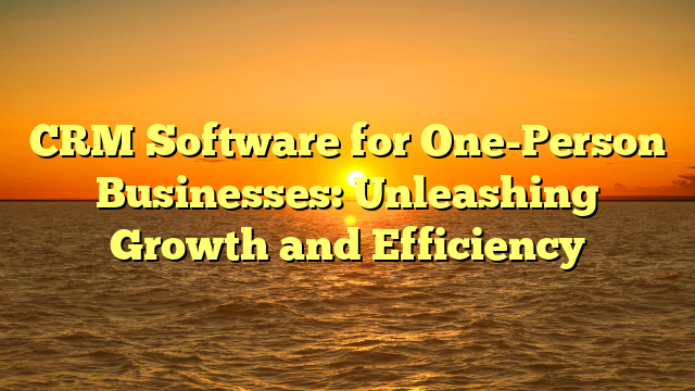 CRM Software for One-Person Businesses: Unleashing Growth and Efficiency