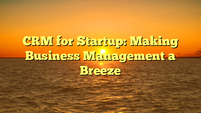 CRM for Startup: Making Business Management a Breeze