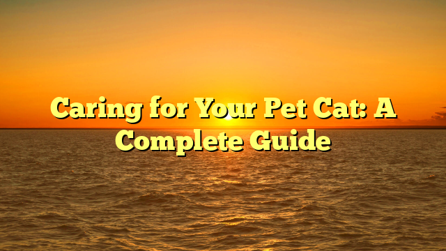 Caring for Your Pet Cat: A Complete Guide