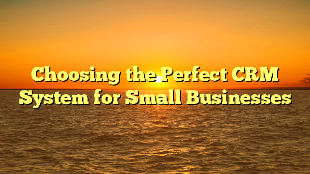 Choosing the Perfect CRM System for Small Businesses