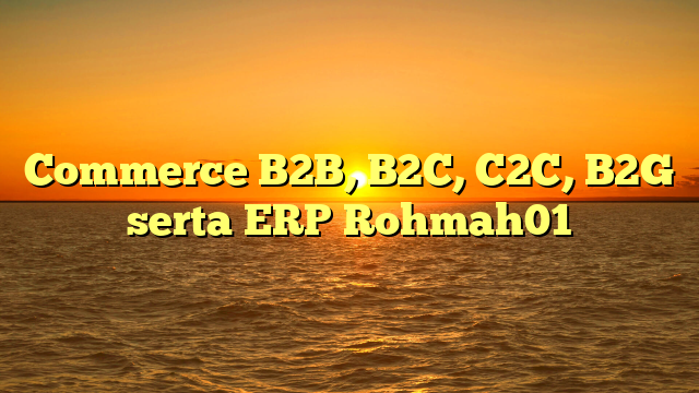 Commerce B2B, B2C, C2C, B2G serta ERP Rohmah01