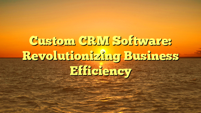 Custom CRM Software: Revolutionizing Business Efficiency