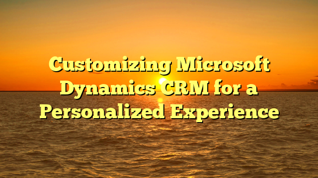 Customizing Microsoft Dynamics CRM for a Personalized Experience