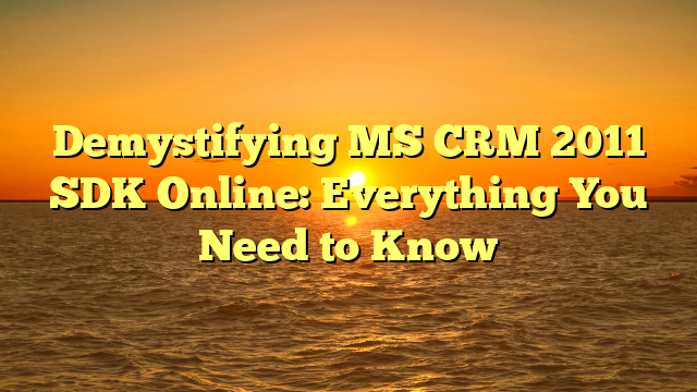 Demystifying MS CRM 2011 SDK Online: Everything You Need to Know