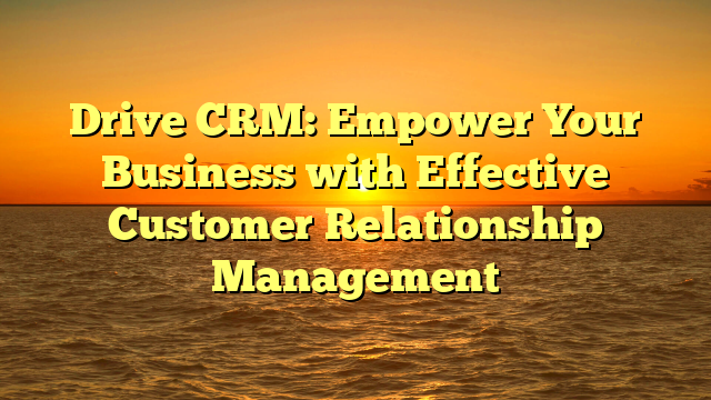 Drive CRM: Empower Your Business with Effective Customer Relationship Management