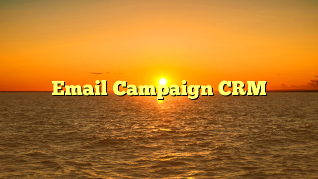 Email Campaign CRM