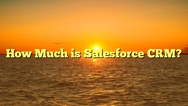 How Much is Salesforce CRM?