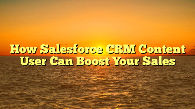 How Salesforce CRM Content User Can Boost Your Sales