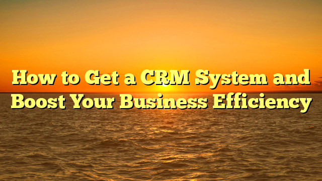 How to Get a CRM System and Boost Your Business Efficiency