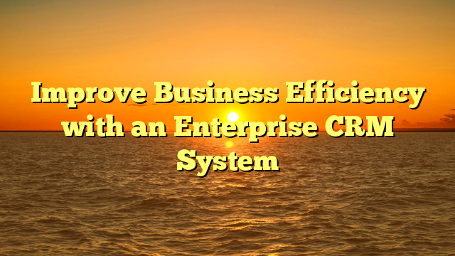 Improve Business Efficiency with an Enterprise CRM System