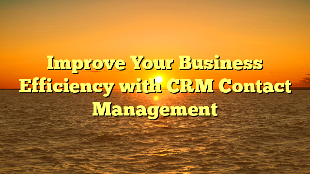 Improve Your Business Efficiency with CRM Contact Management