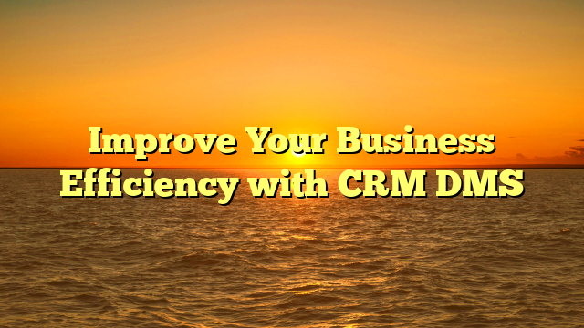 Improve Your Business Efficiency with CRM DMS