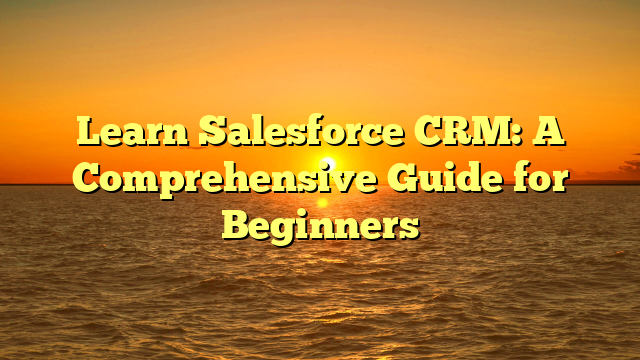 Learn Salesforce CRM: A Comprehensive Guide for Beginners