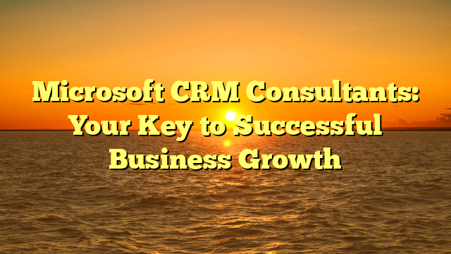 Microsoft CRM Consultants: Your Key to Successful Business Growth