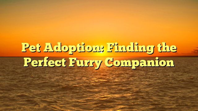 Pet Adoption: Finding the Perfect Furry Companion