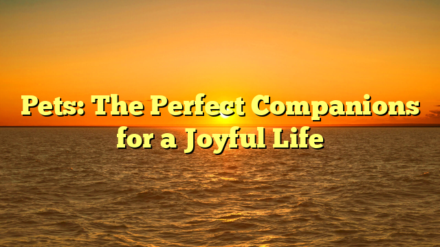 Pets: The Perfect Companions for a Joyful Life