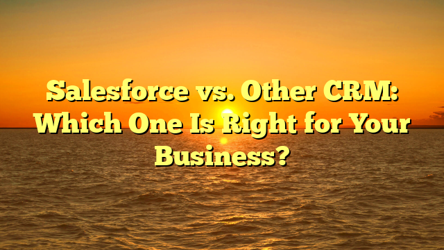 Salesforce vs. Other CRM: Which One Is Right for Your Business?