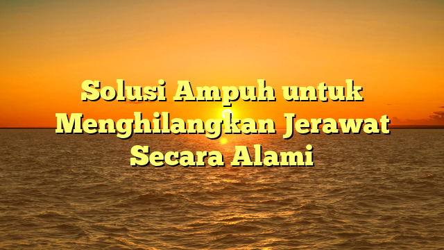 Solusi Ampuh untuk Menghilangkan Jerawat Secara Alami