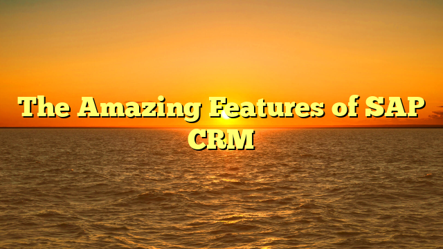 The Amazing Features of SAP CRM