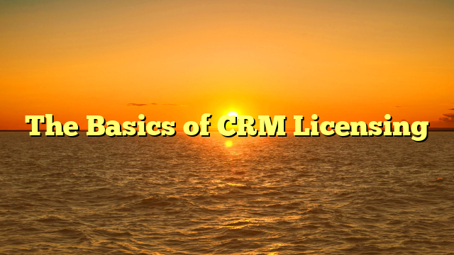 The Basics of CRM Licensing