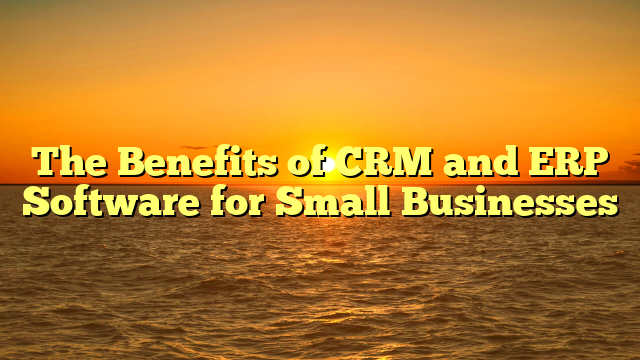 The Benefits of CRM and ERP Software for Small Businesses