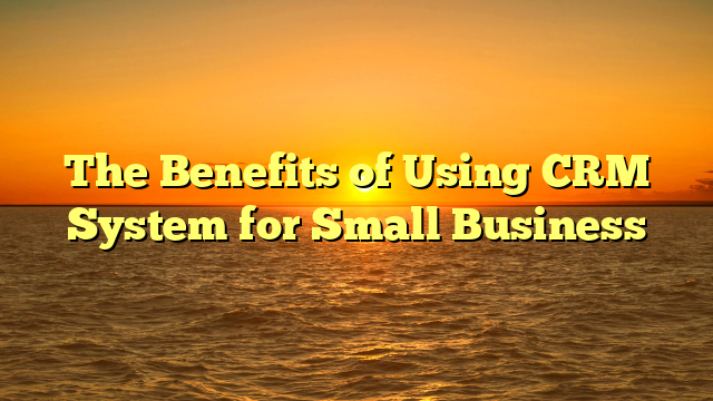 The Benefits of Using CRM System for Small Business