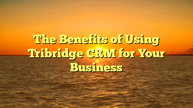 The Benefits of Using Tribridge CRM for Your Business