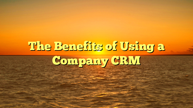 The Benefits of Using a Company CRM