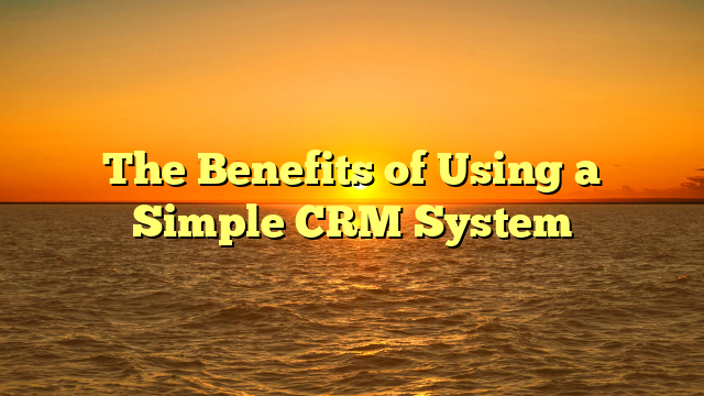 The Benefits of Using a Simple CRM System