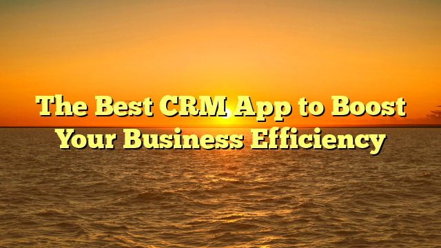 The Best CRM App to Boost Your Business Efficiency