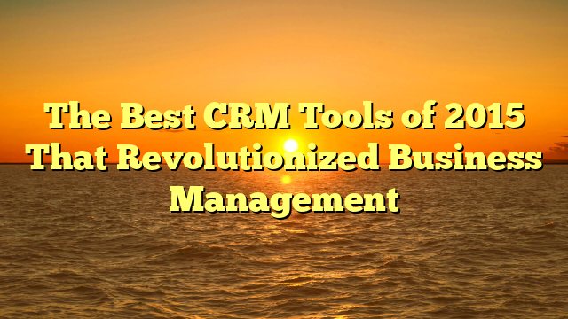 The Best CRM Tools of 2015 That Revolutionized Business Management
