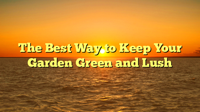 The Best Way to Keep Your Garden Green and Lush