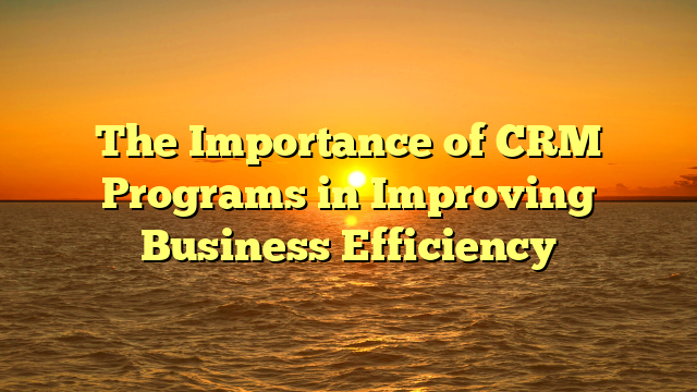 The Importance of CRM Programs in Improving Business Efficiency