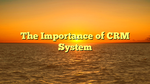 The Importance of CRM System