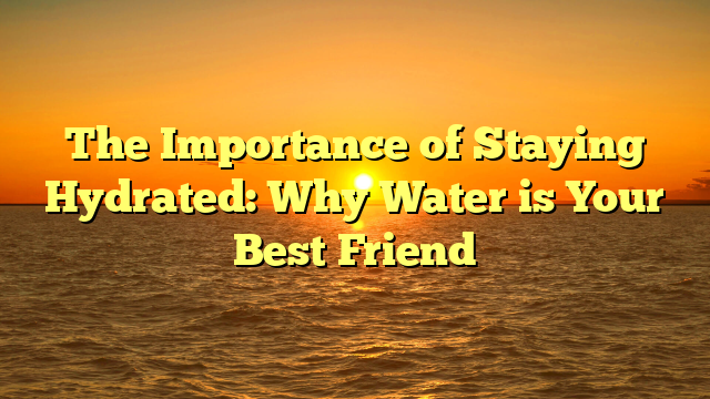 The Importance of Staying Hydrated: Why Water is Your Best Friend