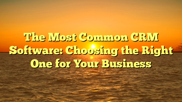 The Most Common CRM Software: Choosing the Right One for Your Business