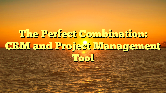 The Perfect Combination: CRM and Project Management Tool