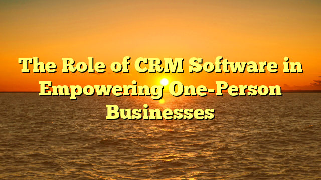 The Role of CRM Software in Empowering One-Person Businesses