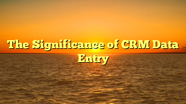 The Significance of CRM Data Entry