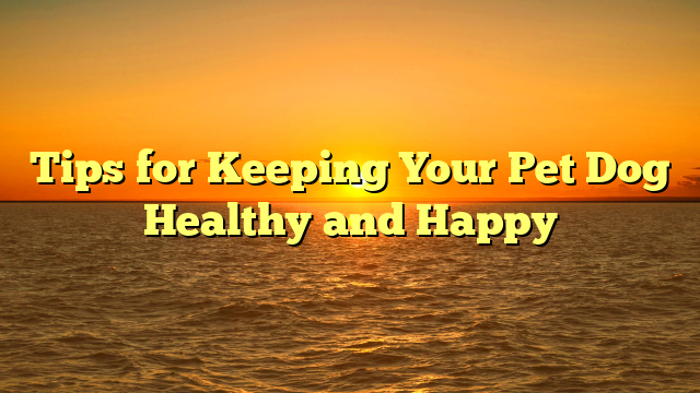 Tips for Keeping Your Pet Dog Healthy and Happy