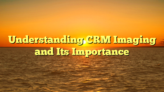 Understanding CRM Imaging and Its Importance