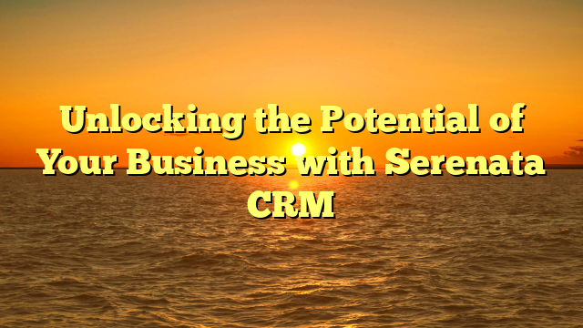 Unlocking the Potential of Your Business with Serenata CRM