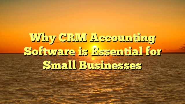 Why CRM Accounting Software is Essential for Small Businesses