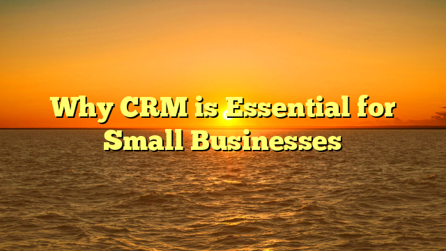Why CRM is Essential for Small Businesses